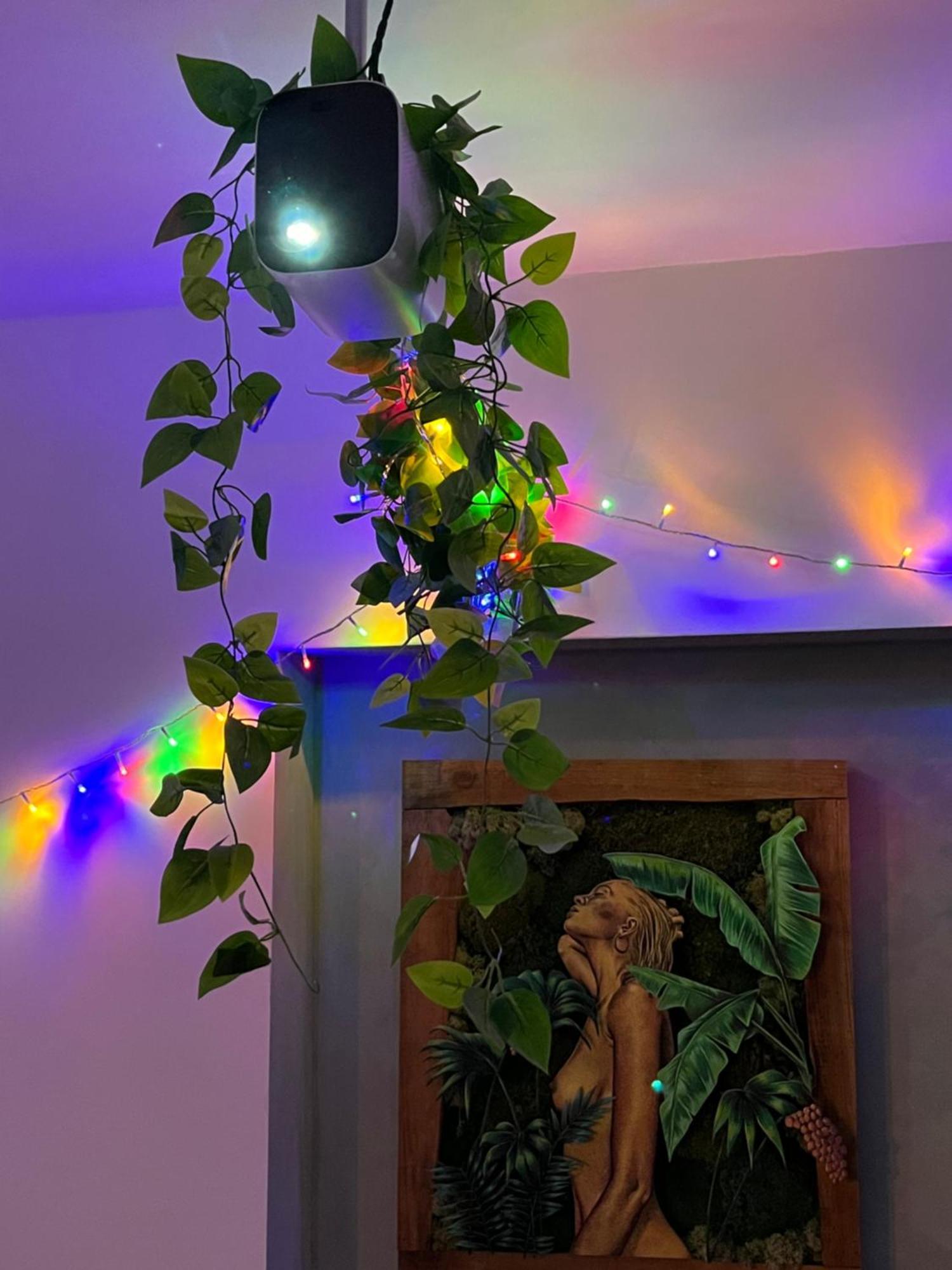 Appartement T3 - Foret & Plage Anglet Kültér fotó