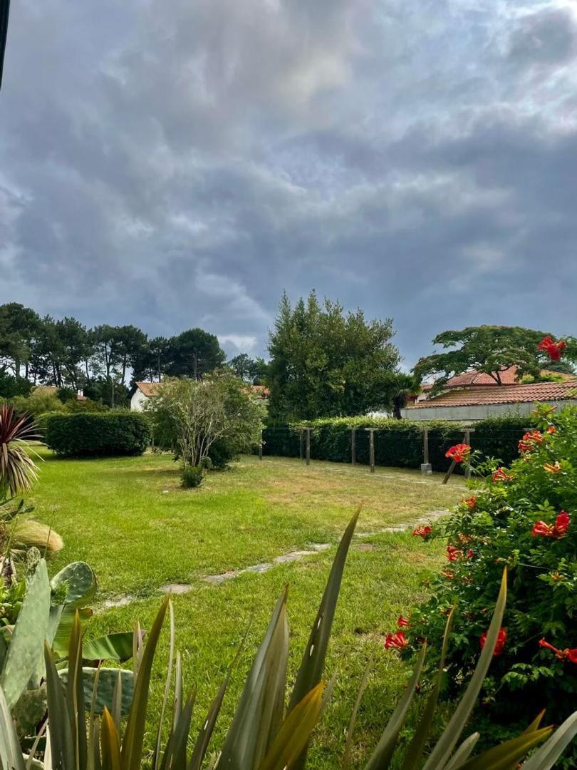 Appartement T3 - Foret & Plage Anglet Kültér fotó