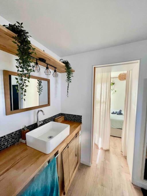 Appartement T3 - Foret & Plage Anglet Kültér fotó